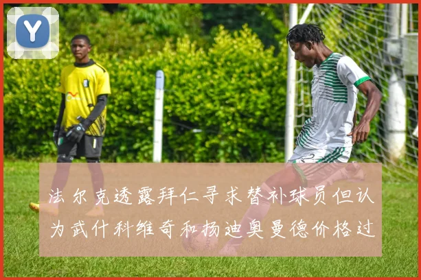 法尔克透露拜仁寻求替补球员但认为武什科维奇和扬迪奥曼德价格过高