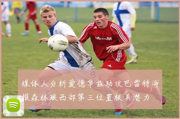 媒体人分析爱德华兹助攻巴雷特海报森林狼西部第三位置极具潜力